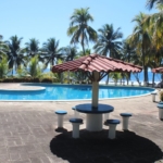 xanadu-green-house-ocean-view