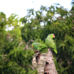 the-secret-garden-playa-zancudo