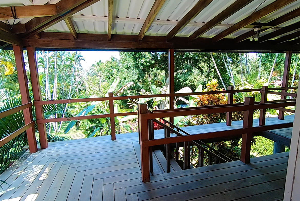 pilon-point-jungle-house-pavones-costa-rica