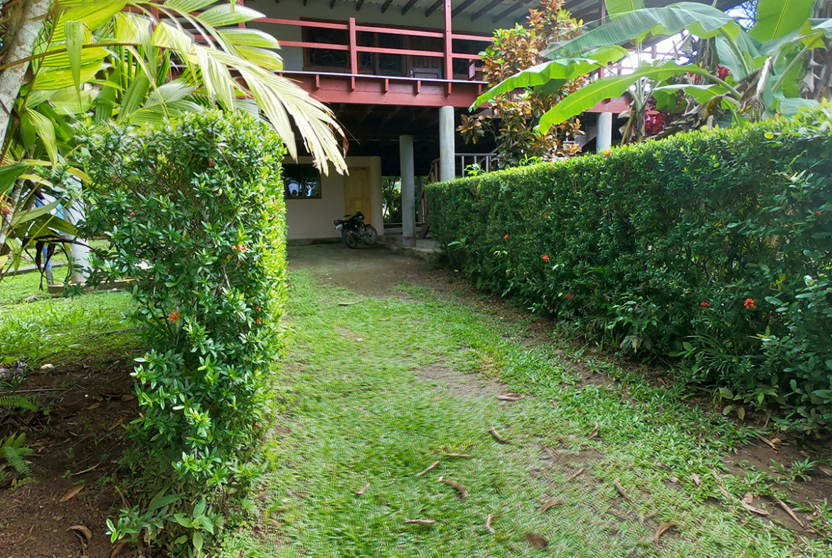 pilon-jungle-house-costa-rica