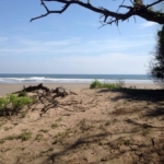 punta-mango-land-for-sale