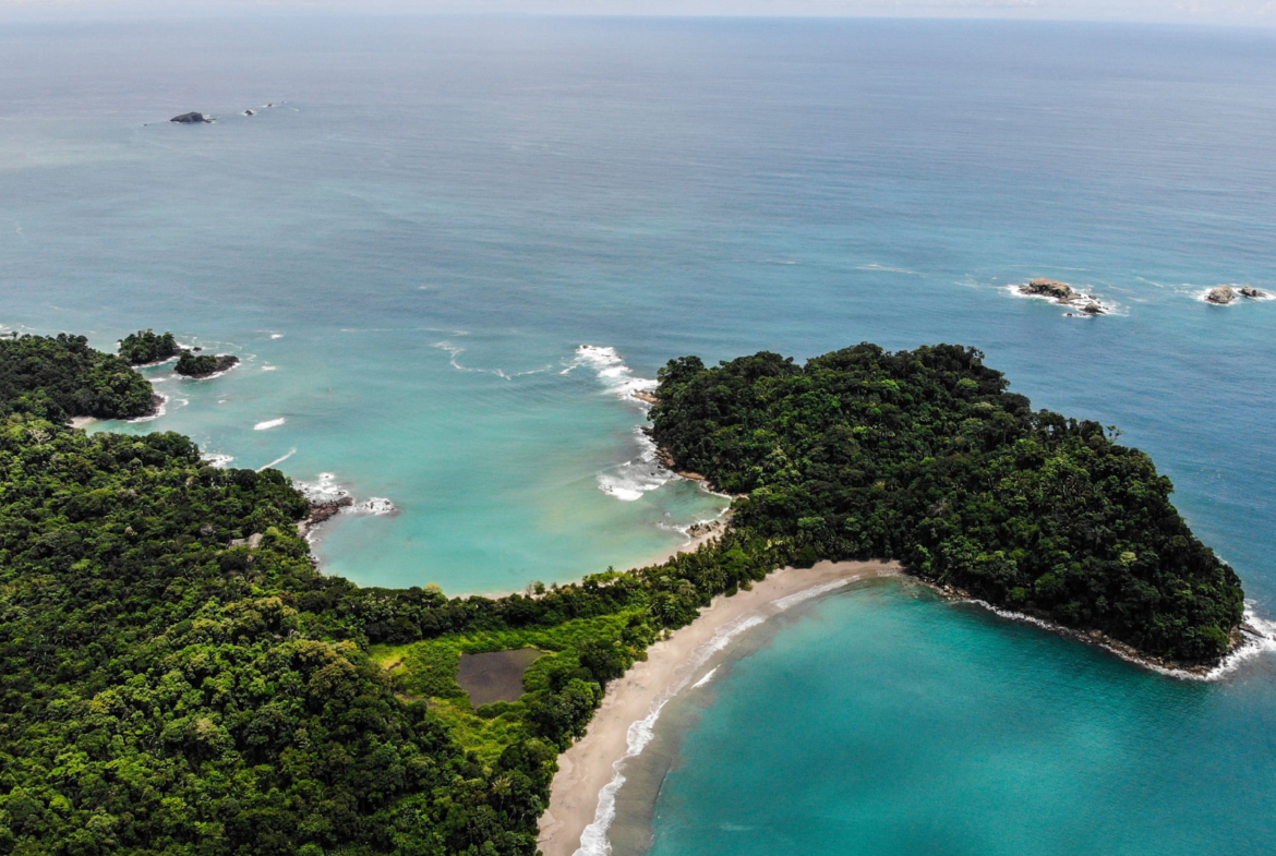 ballena-farm-uvita-costa-rica