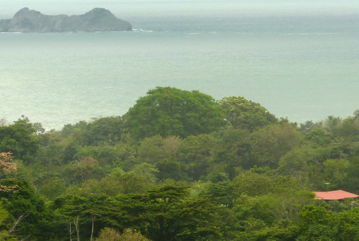 ballena-farm-uvita-costa-rica