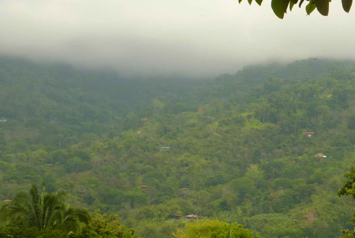 ballena-farm-uvita-costa-rica