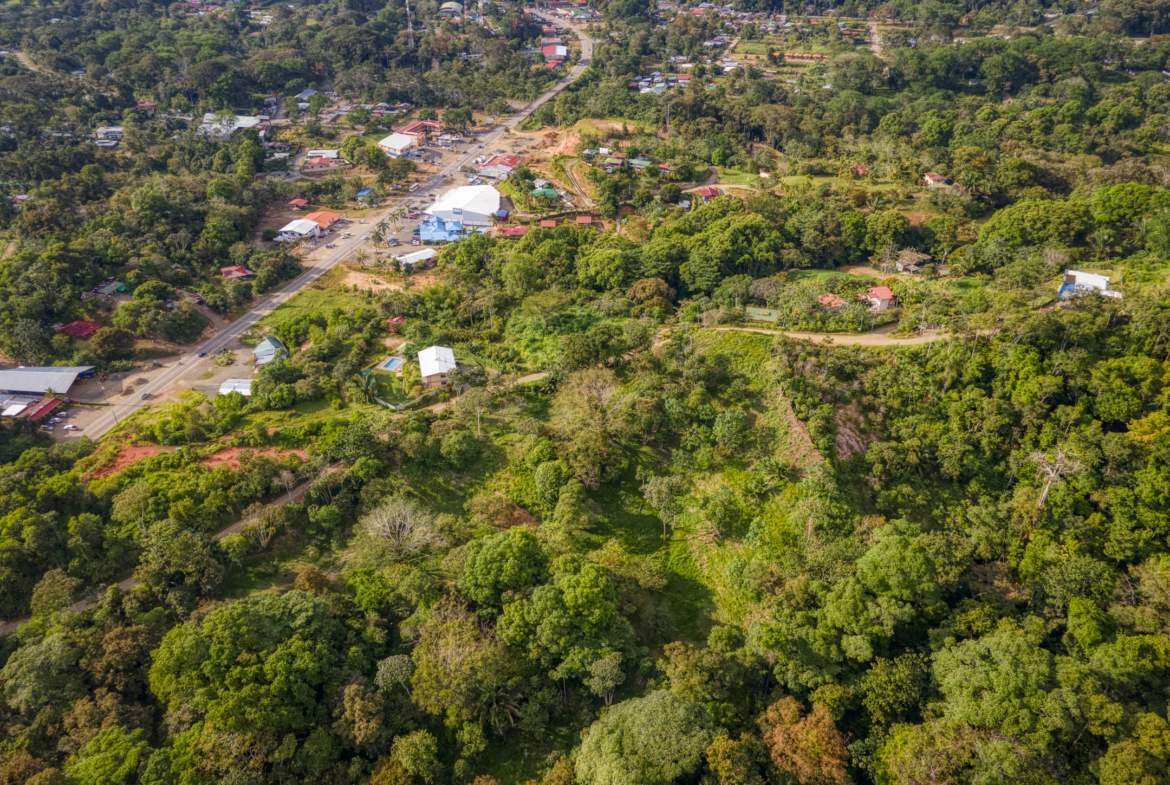 ballena-farm-uvita