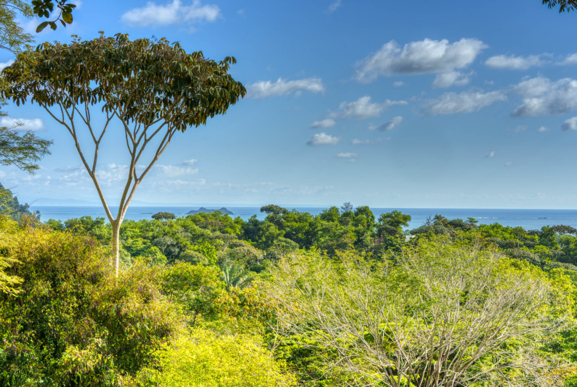 ballena-farm-uvita