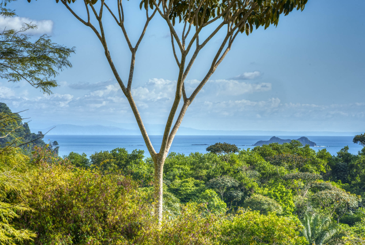 ballena-farm-uvita