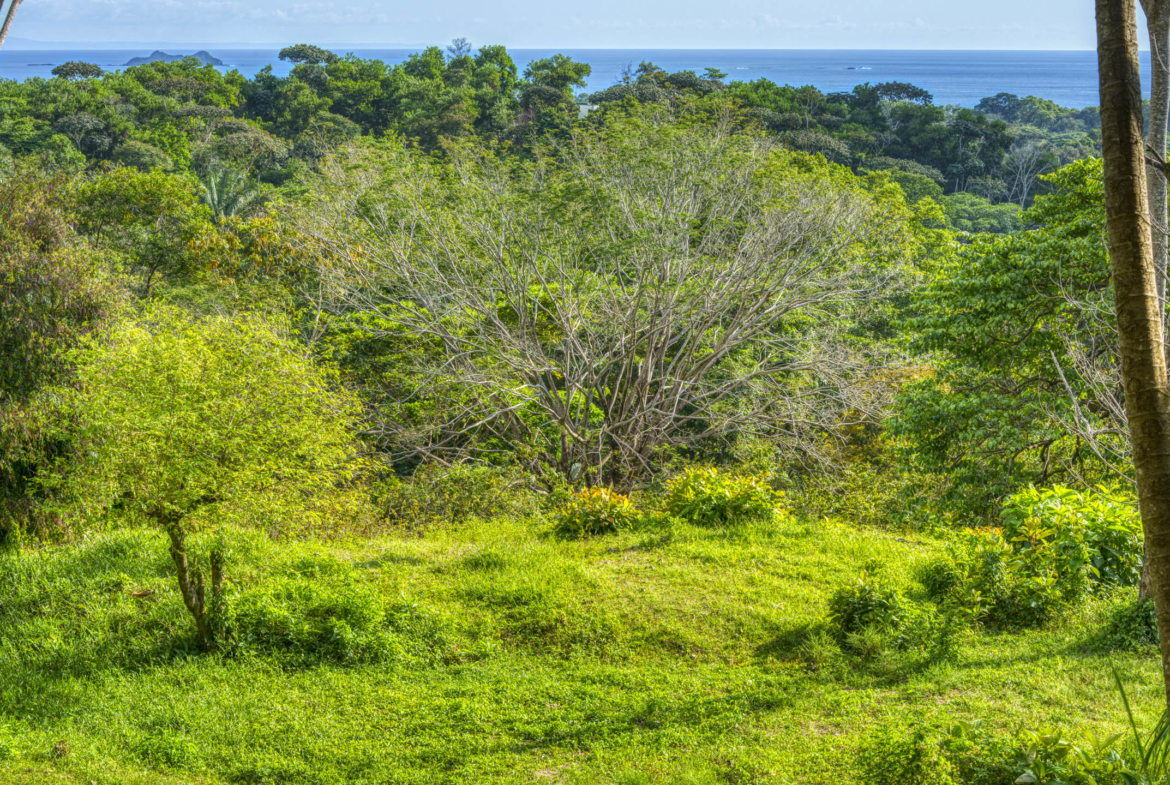 ballena-farm-uvita