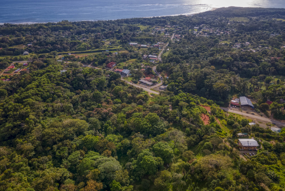 ballena-farm-uvita