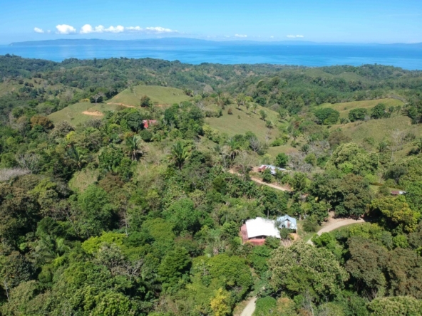 casa-de-los-cielos-cuervito-pavones