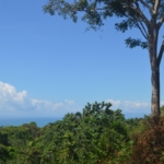 ocean-view-lot-cuervito-pavones