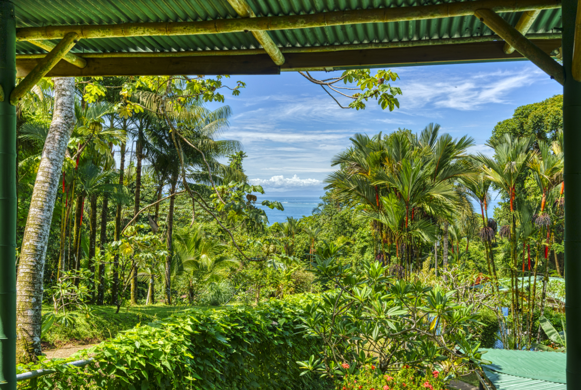 liquid-magic-surf-resort-uvita-costa-rica