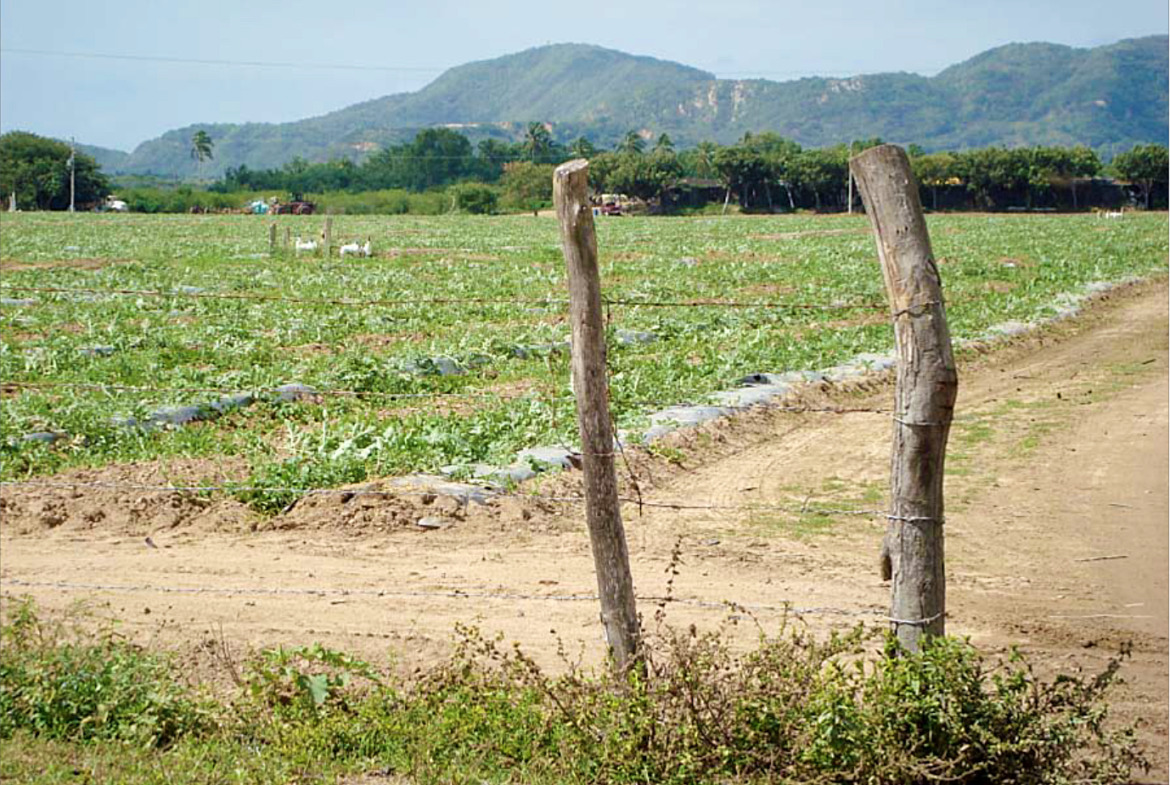 rancho-barra-de-navidad