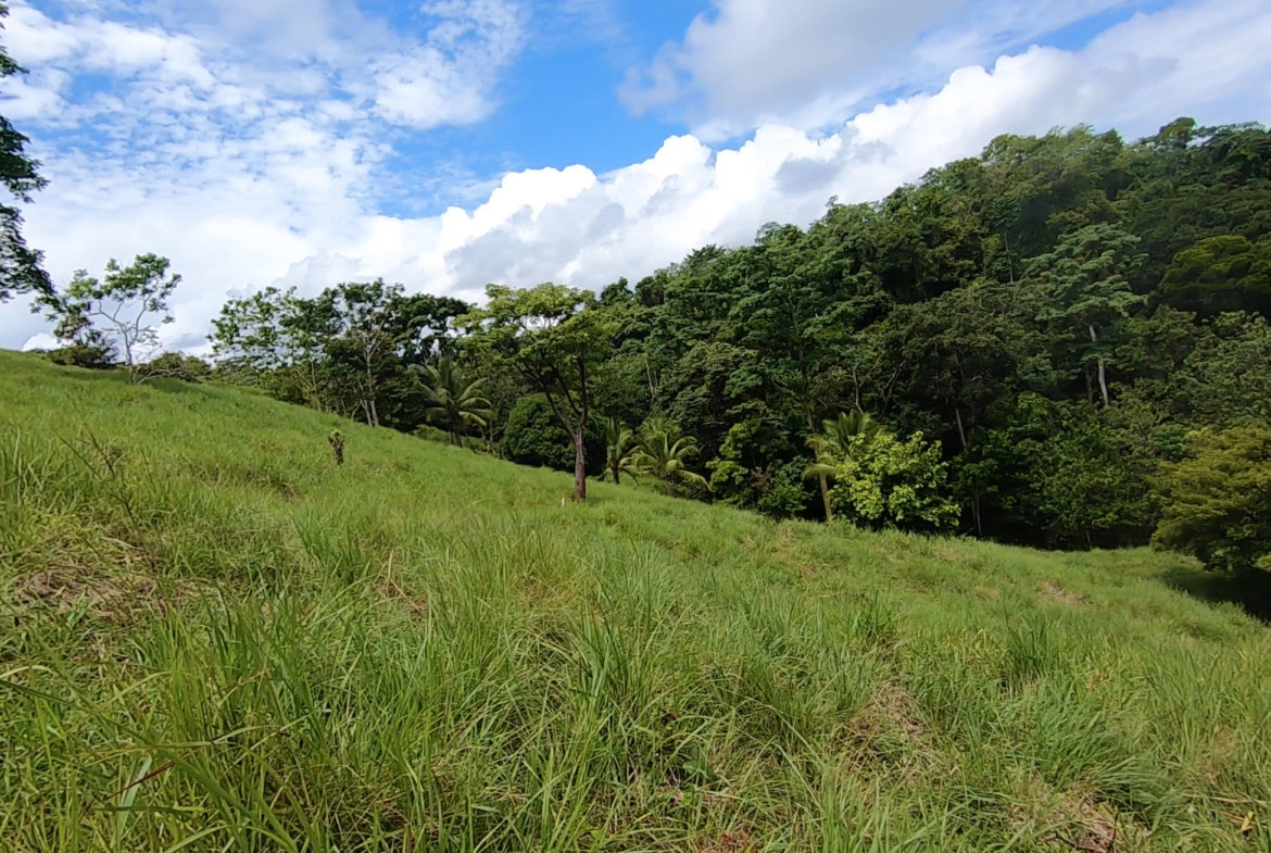 vista-dulce-finca-norte-pavones