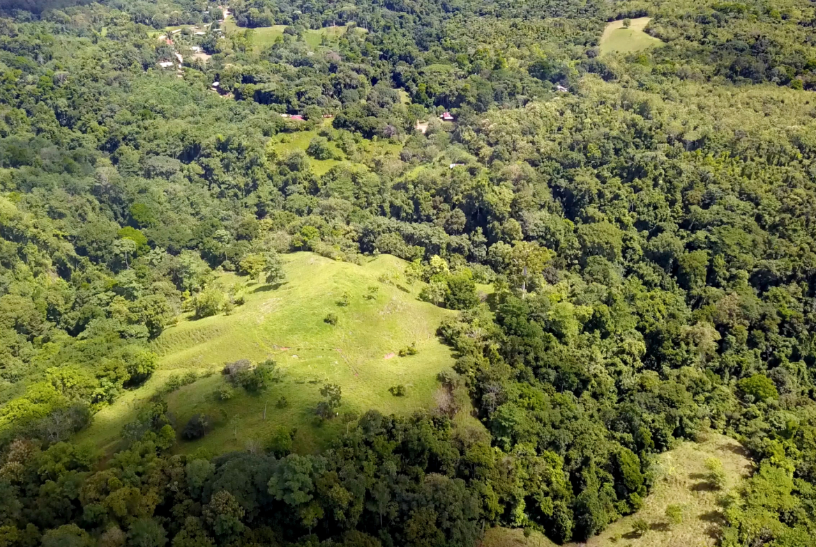 vista-dulce-cuervito-pavones-20-acre-finca-dji-lot