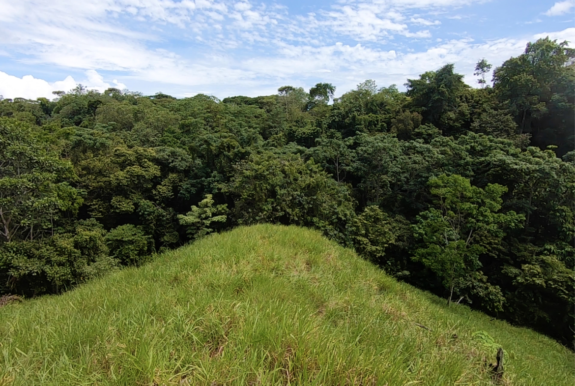 vista-dulce-cuervito-pavones-20-acre-finca