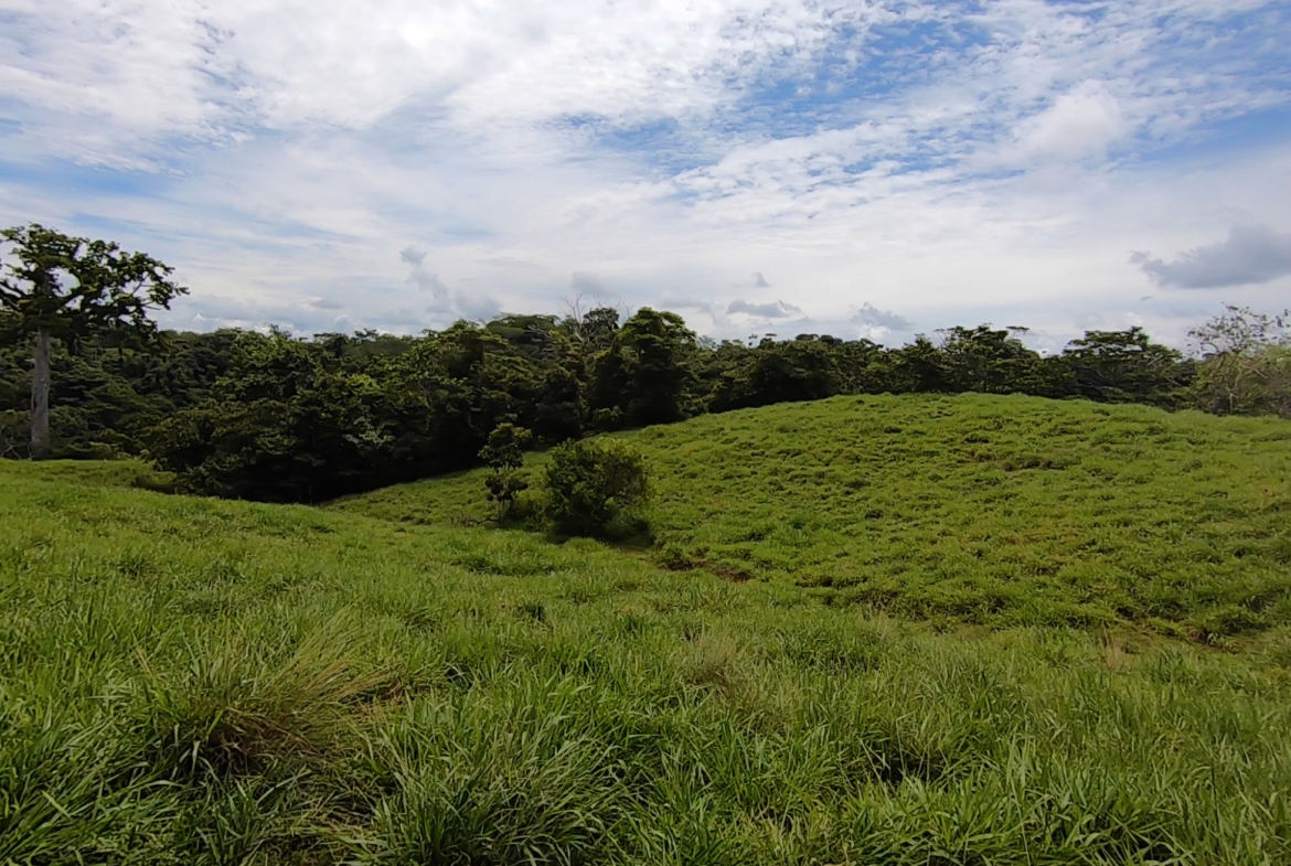 vista-dulce-cuervito-pavones-20-acre-finca