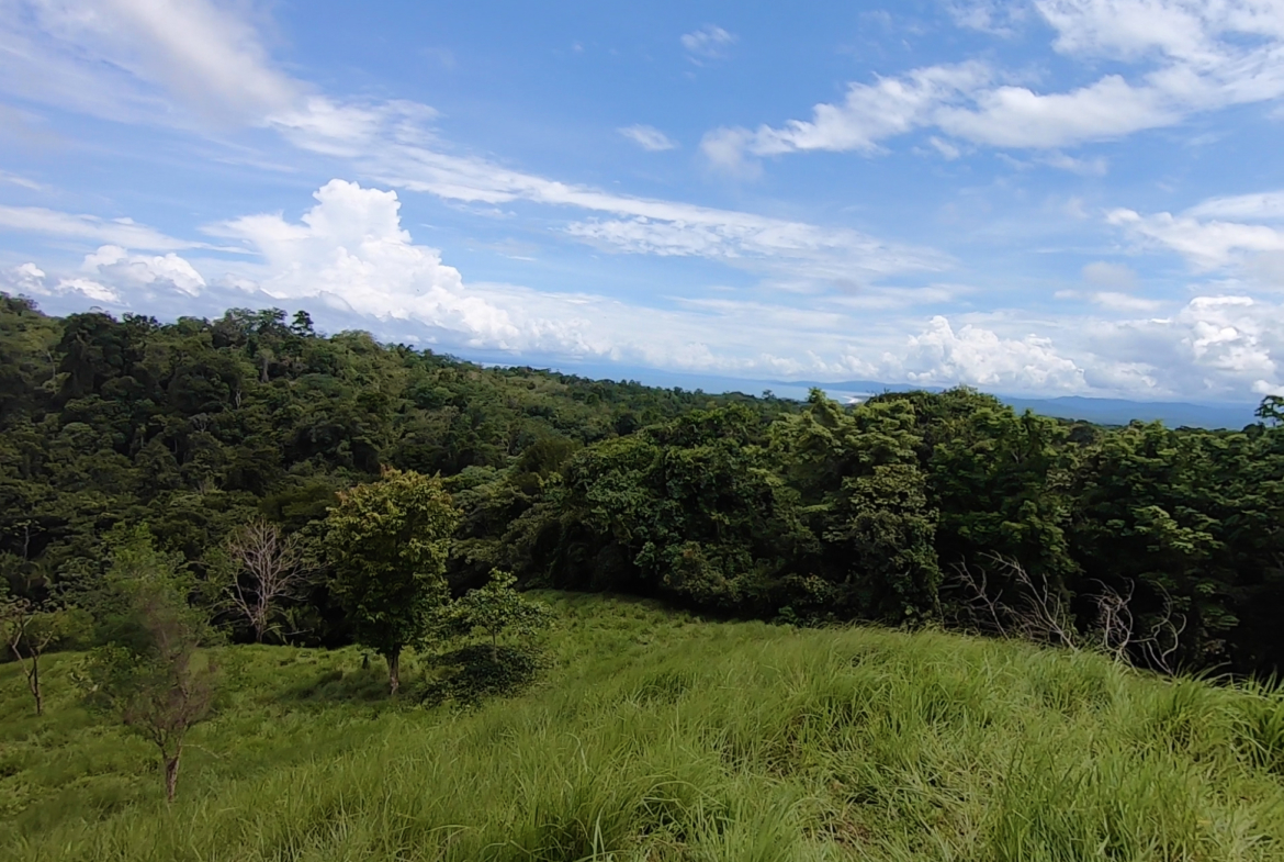 vista-dulce-cuervito-pavones-20-acre-finca