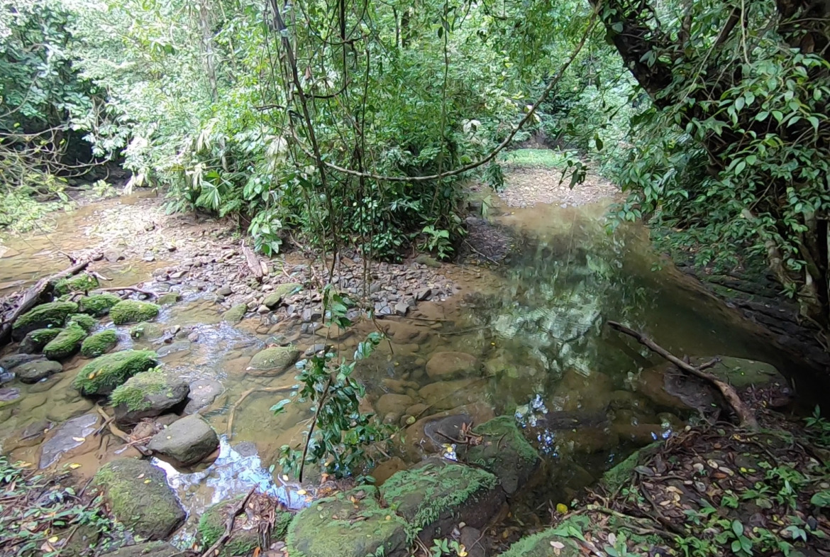 vista-dulce-finca-pavones-cuervito-river