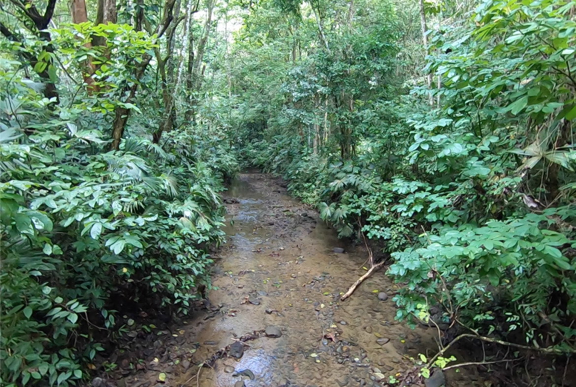 vista-dulce-finca-pavones-cuervito-river