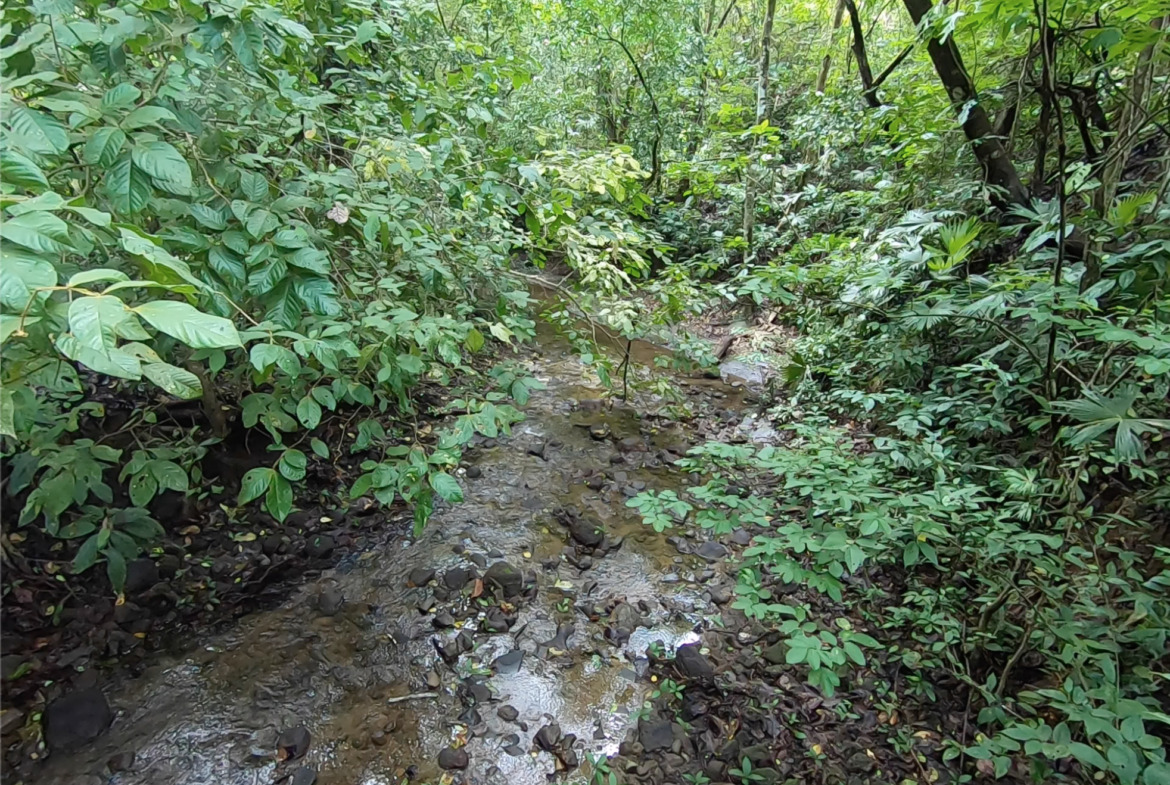 vista-dulce-finca-pavones-cuervito-river