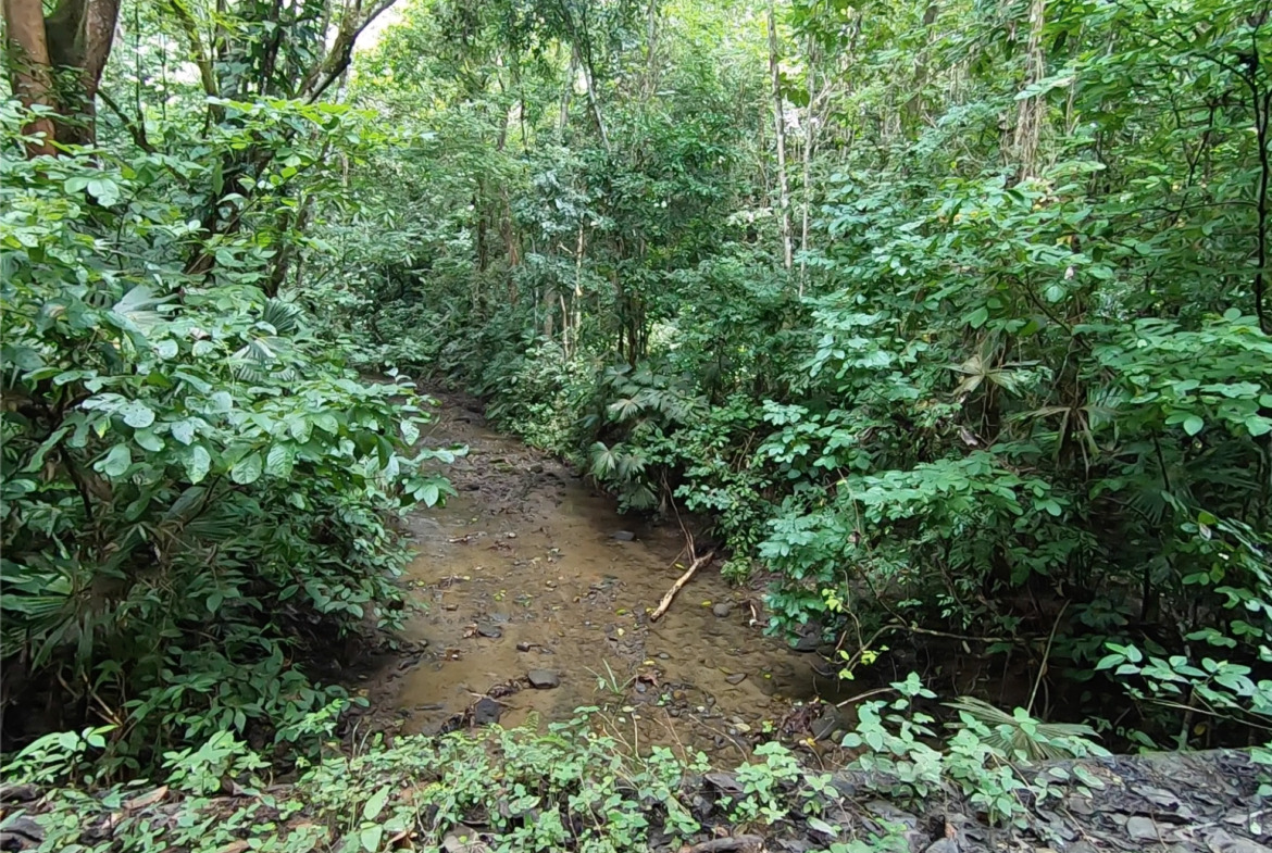 vista-dulce-finca-pavones-cuervito-river