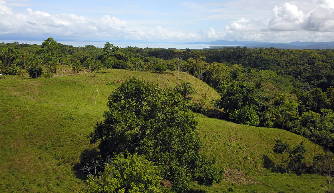 vista-dulce-finca-sur-35-acres-pavones-cuervito