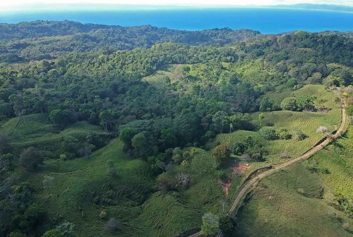 finca-vaca-gorda-pavones-land-for-sale