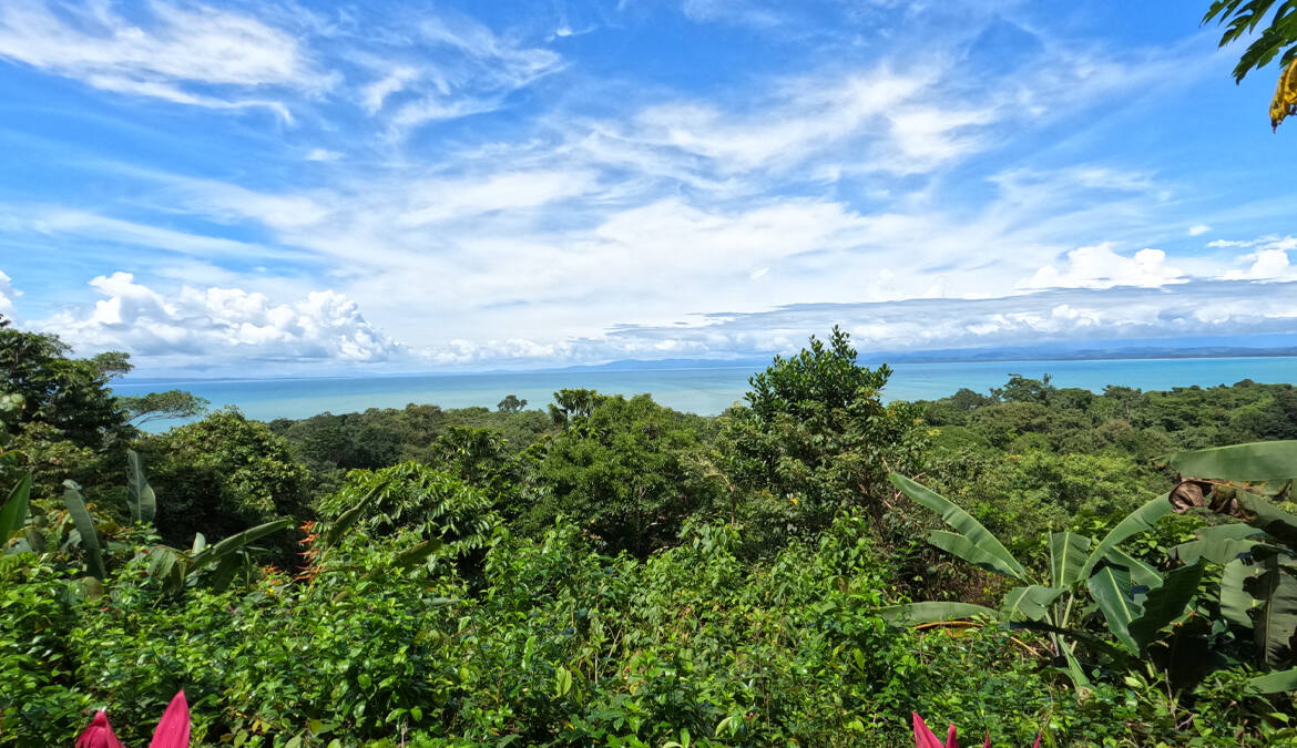 pavones-ocean-view-paradise