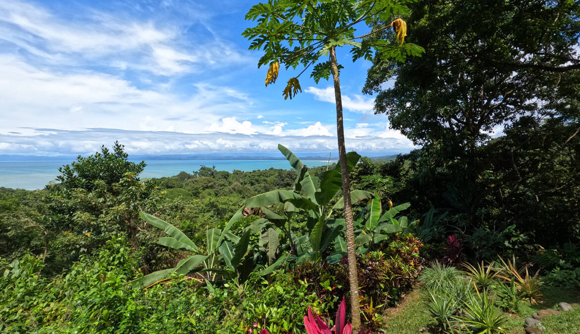 pavones-ocean-view-paradise