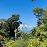 Casa-Santa-Clara-Pavones-Costa-Rica