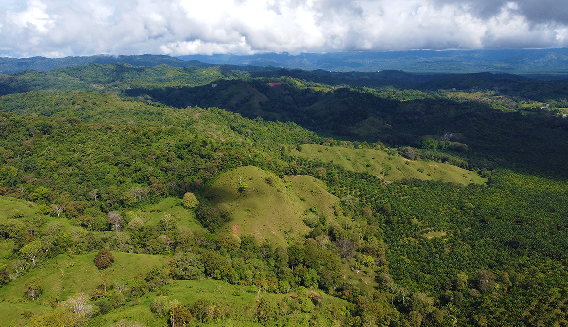 finca-rio-coto-gofito