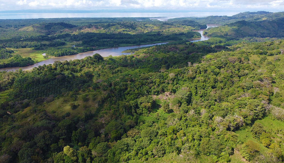 finca-rio-coto-gofito