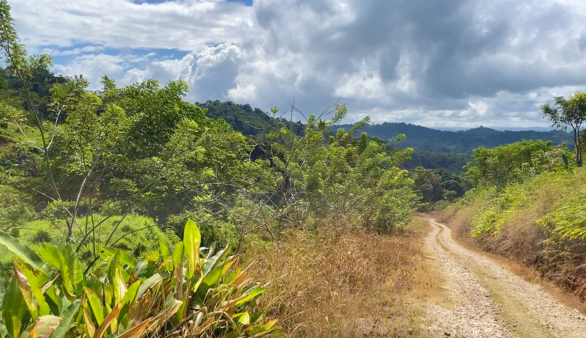 finca-rio-coto-golfito-costa-rica