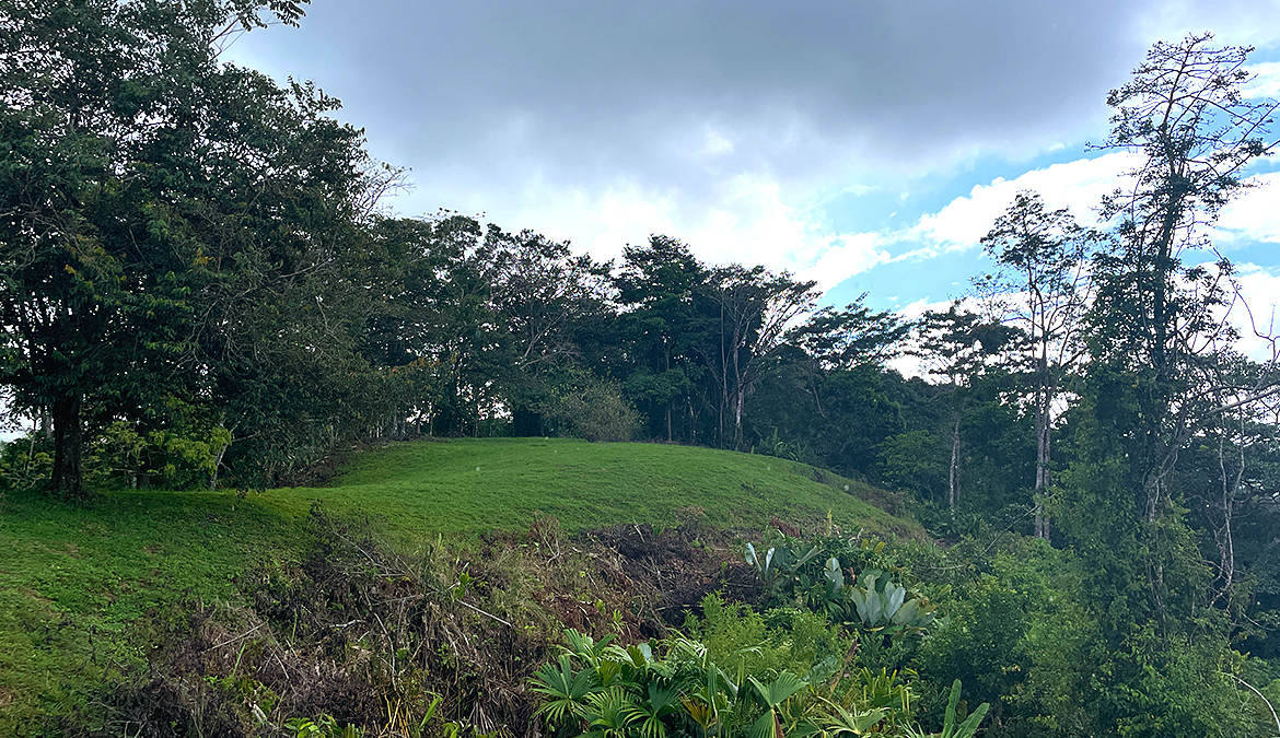 finca-rio-coto-gofito