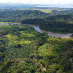 finca-rio-coto-gofito