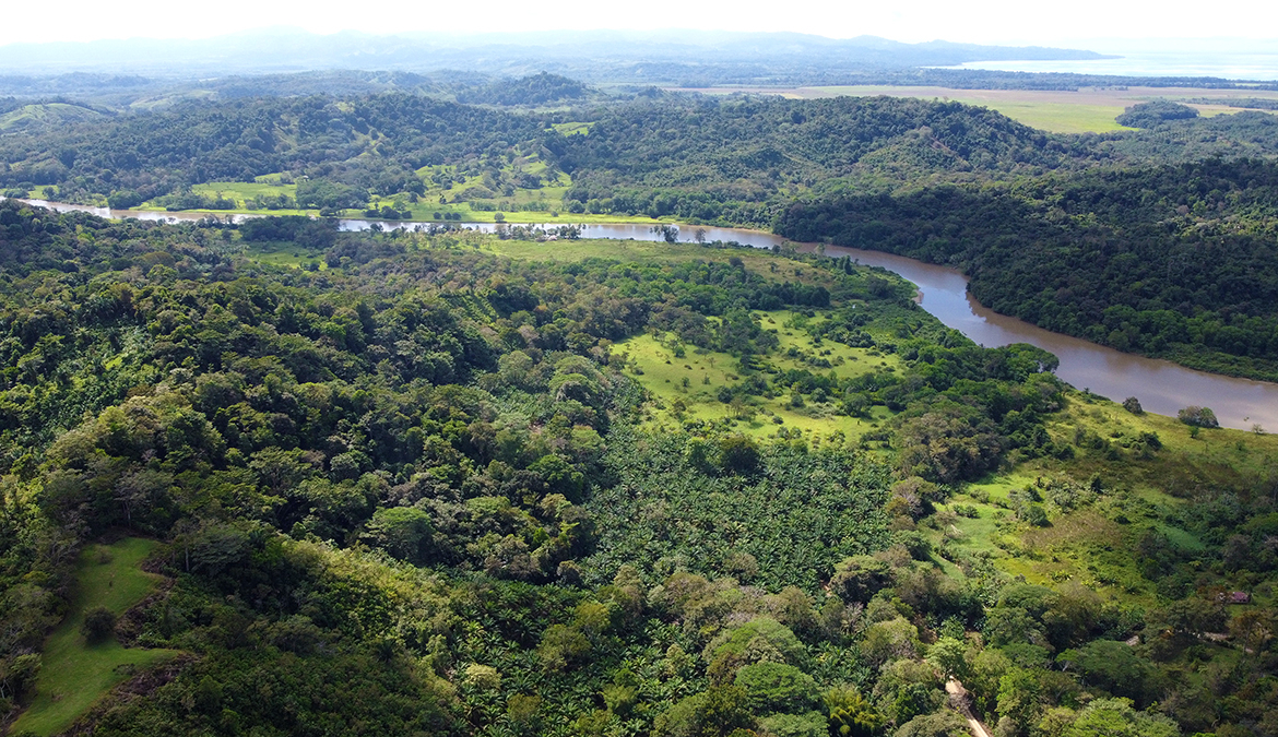 finca-rio-coto-gofito