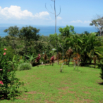 la-maravilla-de-pavon