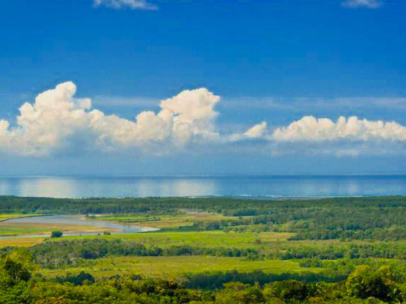 Costa Rica Wellness Center Development Opportunity