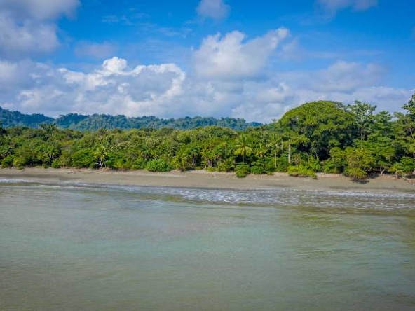 tamales-osa-peninsula-beachfront-land