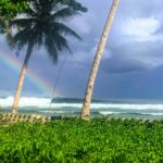 mentawai-surf-resort-camp-for-sale-indonesia