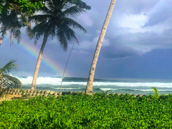 mentawai-surf-resort-camp-for-sale-indonesia