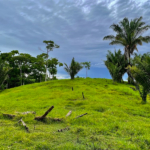 finca-cuervito-pavones-costa-rica-for-sale
