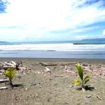 playa-zancudo-beach-lot-for-sale