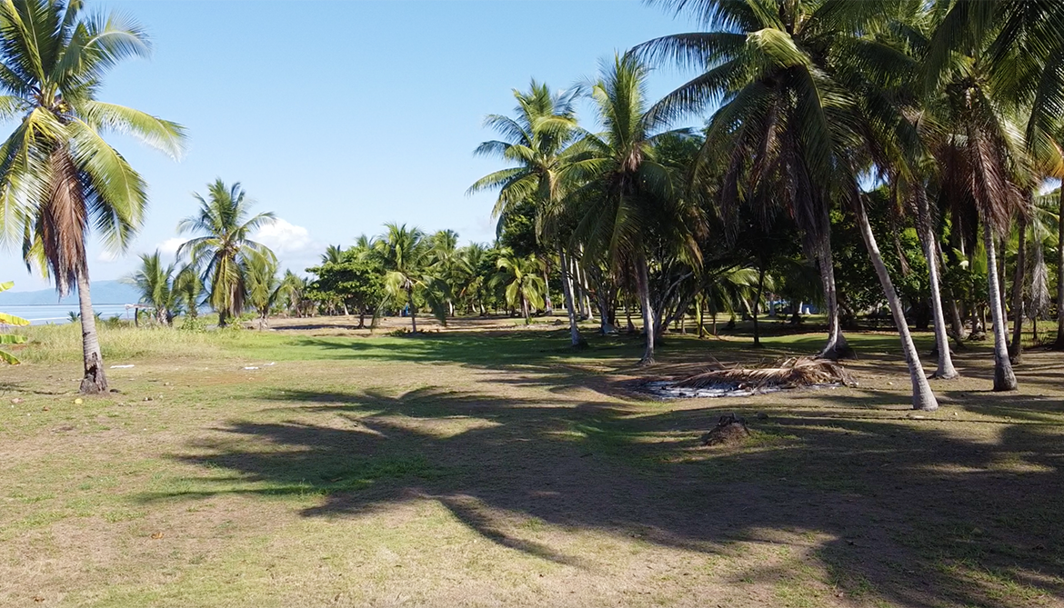 playa-zancudo-wide-beach-lot-for-sale