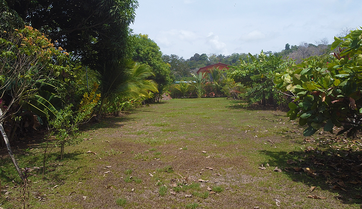 pavones-walk-to-surf-lot-for-sale