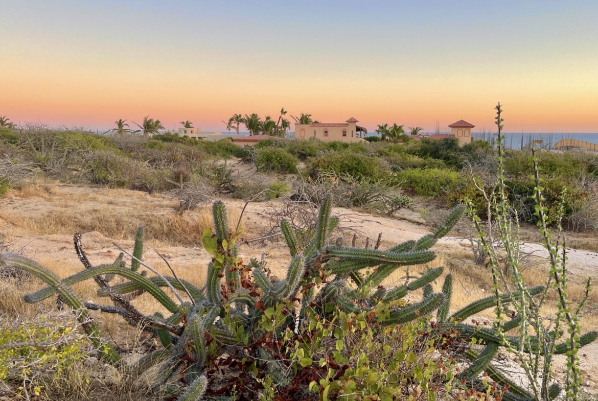 playa-tortuga-lot-34-east-cape-baja-california