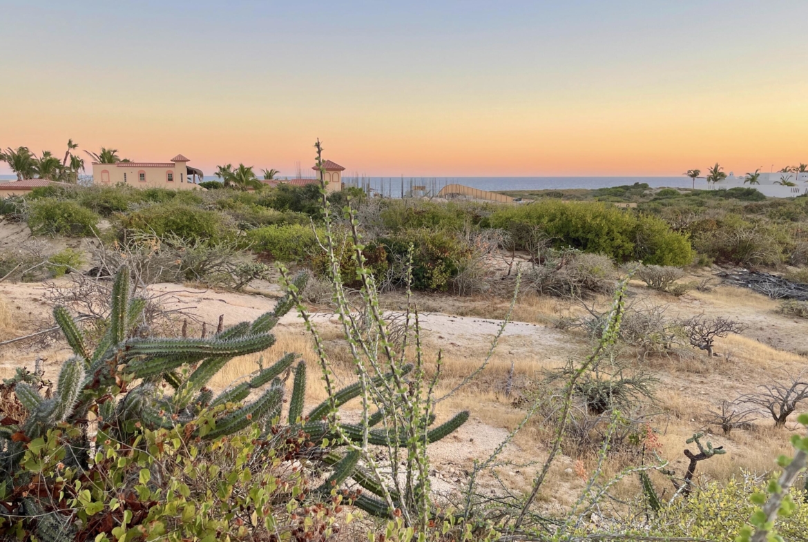 playa-tortuga-lot-34-east-cape-baja-california