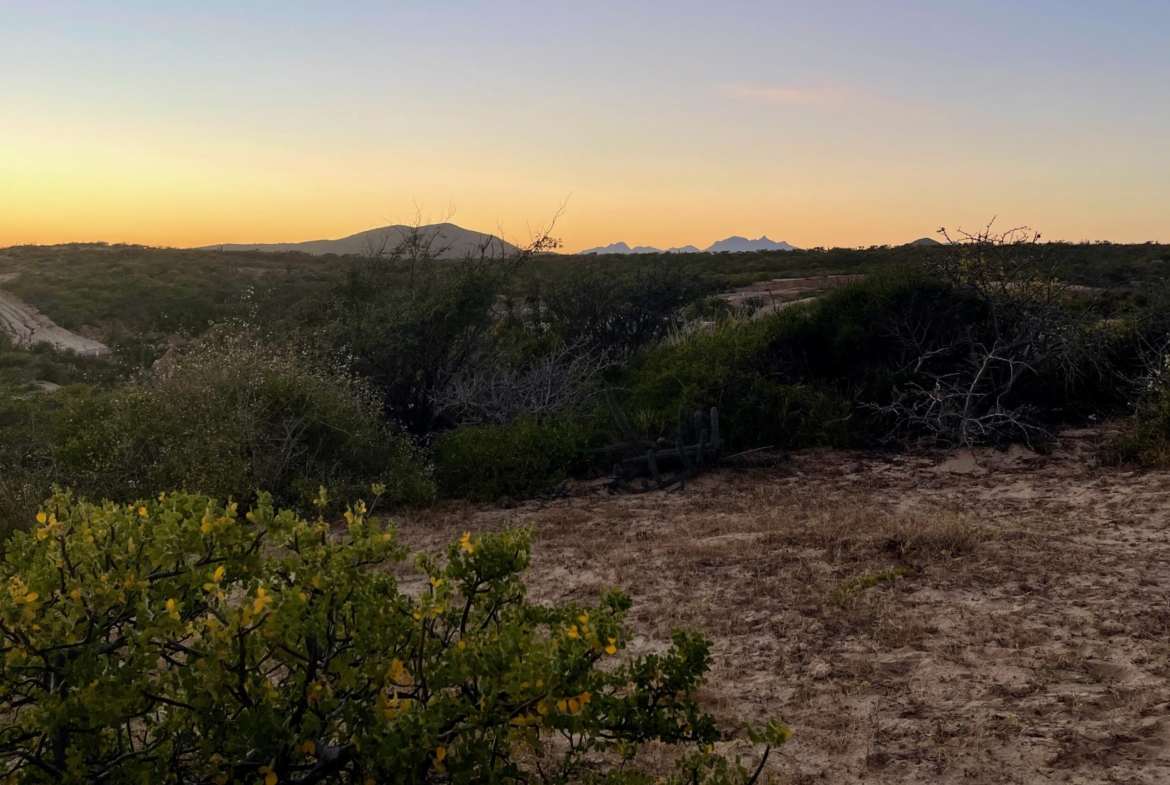 playa-tortuga-lot-34-east-cape-baja-california