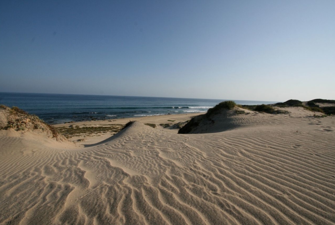 shipwrecks-oceanfront-lot-east-cape